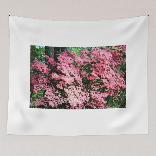 Item preview, Pink Ruffle  designed and sold by Cynthia48.