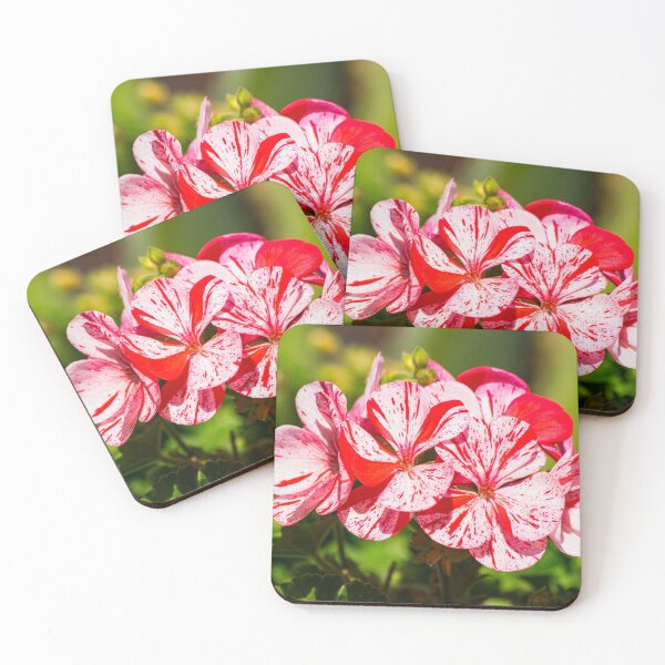 Item preview, White and red geranium flower designed and sold by Martin Leber.
