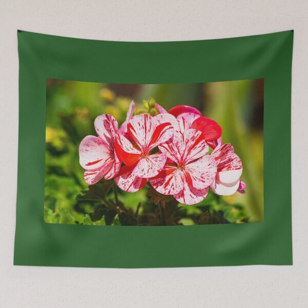 Item preview, White and red geranium flower designed and sold by Martin Leber.