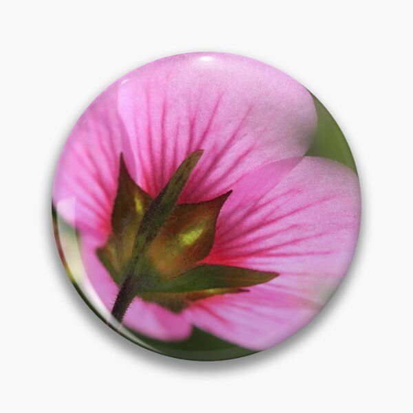 Item preview, African Mallow designed and sold by JMcCombie.