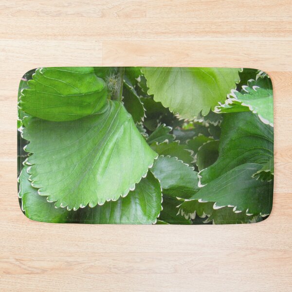 Item preview, A Cluster of Green Leaves designed and sold by collingalanos80.