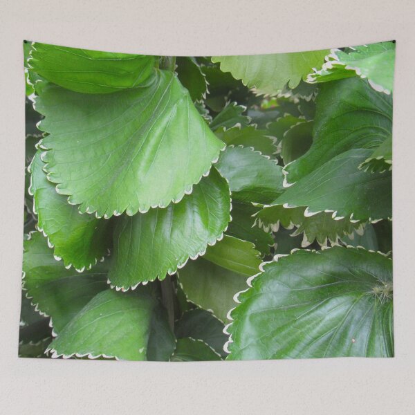 Item preview, A Cluster of Green Leaves designed and sold by collingalanos80.