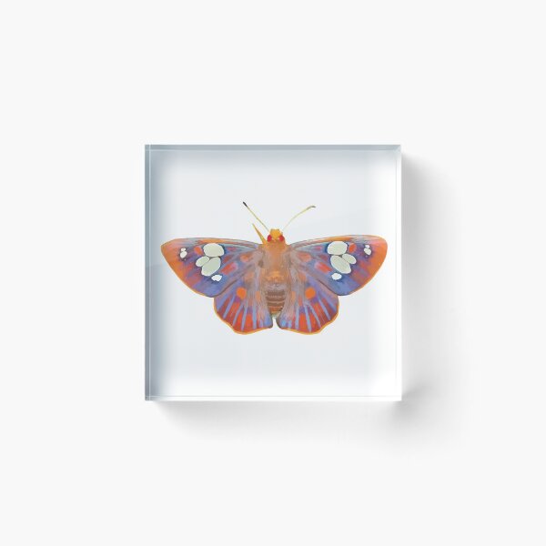 Item preview, Colourful Butterfly (Orange Light Background) designed and sold by Jelly Bear.