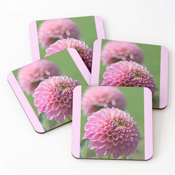 Item preview, Dahlia named Skipley Spot of Gold designed and sold by JMcCombie.