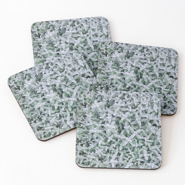 Item preview, Blue green plants designed and sold by RaspberryGreen.