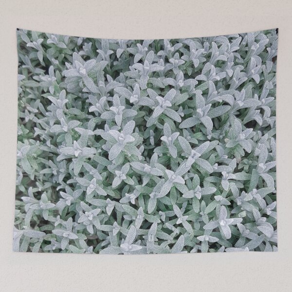 Item preview, Blue green plants designed and sold by RaspberryGreen.