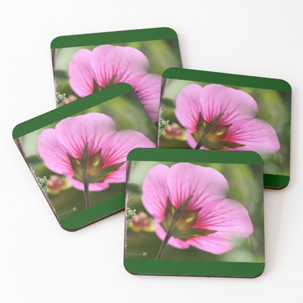 Item preview, African Mallow designed and sold by JMcCombie.