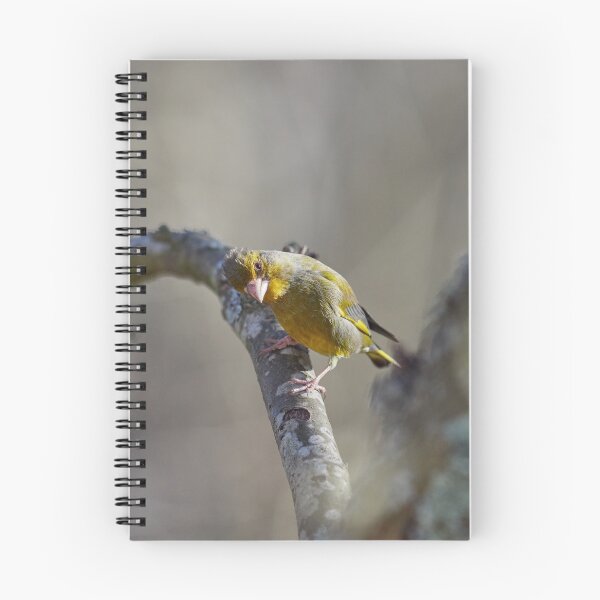 Item preview, Check check check. Greenfinch designed and sold by Jouko Lehto Photography.