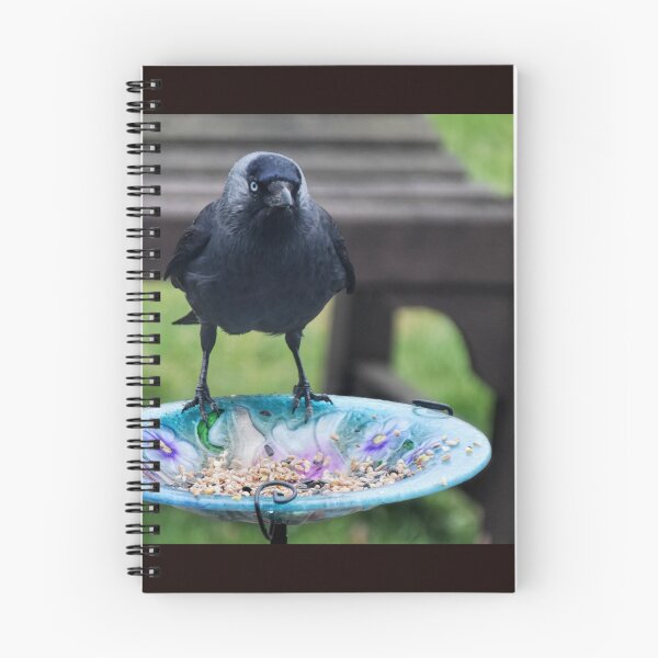 Item preview, Jackdaw  designed and sold by lynn carter.
