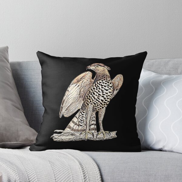 Item preview, Hawkeye is Looking For You! designed and sold by Billgreen54.