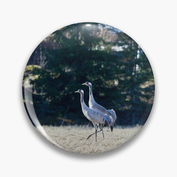Item preview, Duo. Eurasian crane designed and sold by Jouko Lehto Photography.