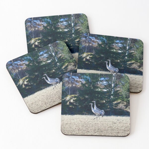 Item preview, Duo. Eurasian crane designed and sold by Jouko Lehto Photography.
