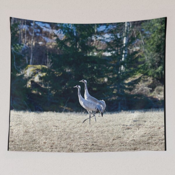 Item preview, Duo. Eurasian crane designed and sold by Jouko Lehto Photography.