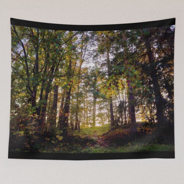 Item preview, When the sun rises in the autumn forest designed and sold by Jouko Lehto Photography.