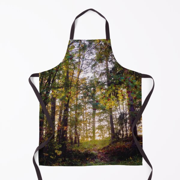 Item preview, When the sun rises in the autumn forest designed and sold by Jouko Lehto Photography.