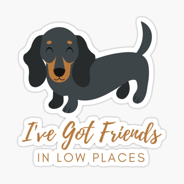 Friends In Low Places Stickers Redbubble