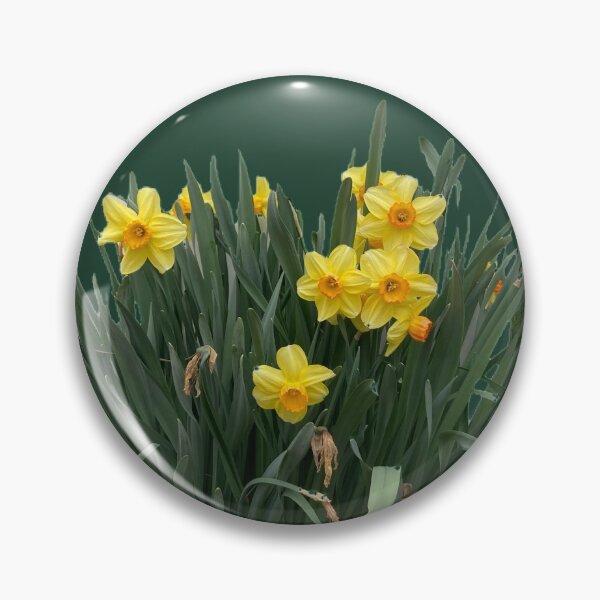 Item preview, Clump of Daffodils  designed and sold by Amanda1775.