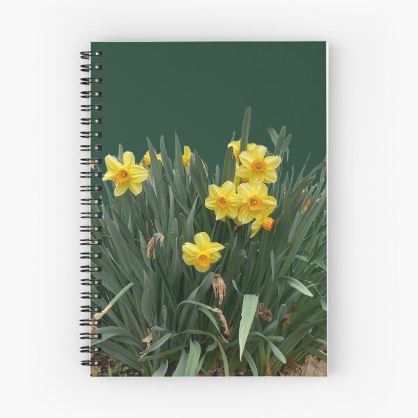 Item preview, Clump of Daffodils  designed and sold by Amanda1775.