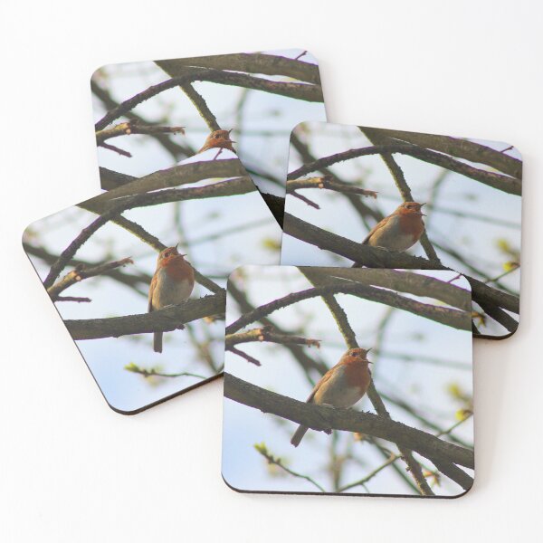 Item preview, Robin Singing To Me designed and sold by Vicki Spindler (VHS Photography).