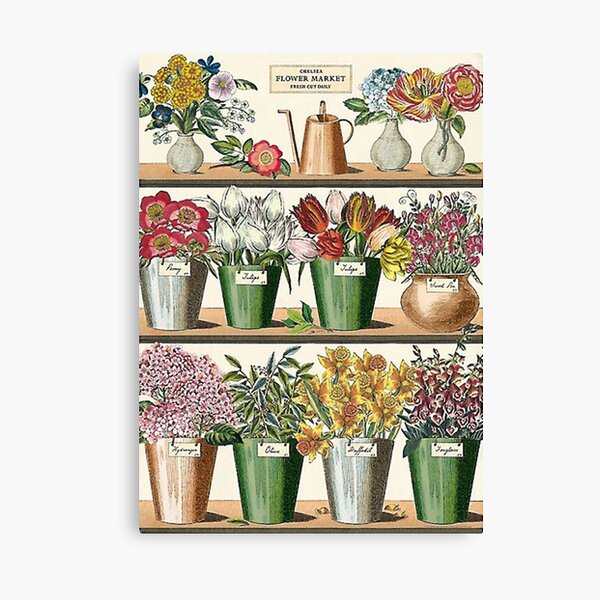 Chelsea Flower Market Fresh Cut Daily Poster Canvas Print