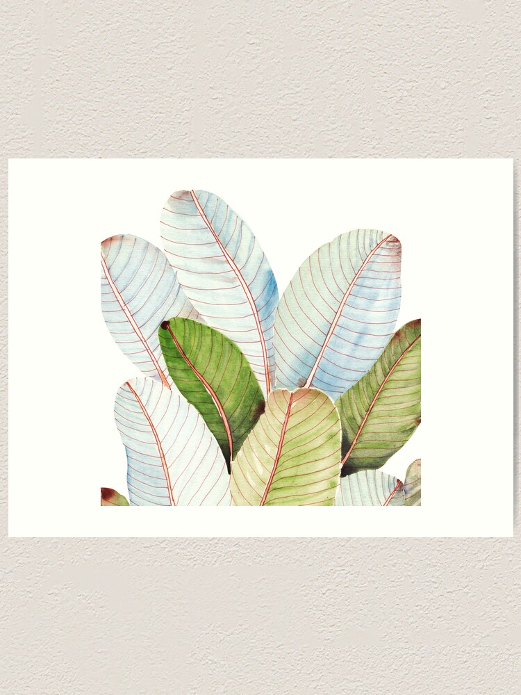 Alternate view of Banana Leaves| Tropical Leaves Art Print