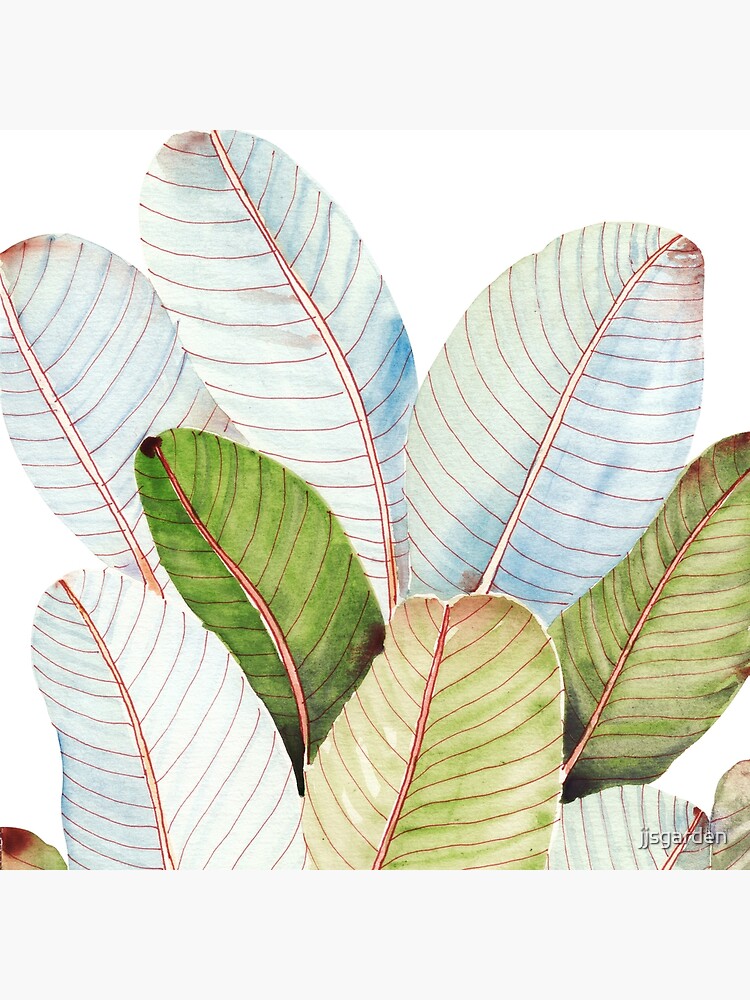 Banana Leaves| Tropical Leaves by jjsgarden