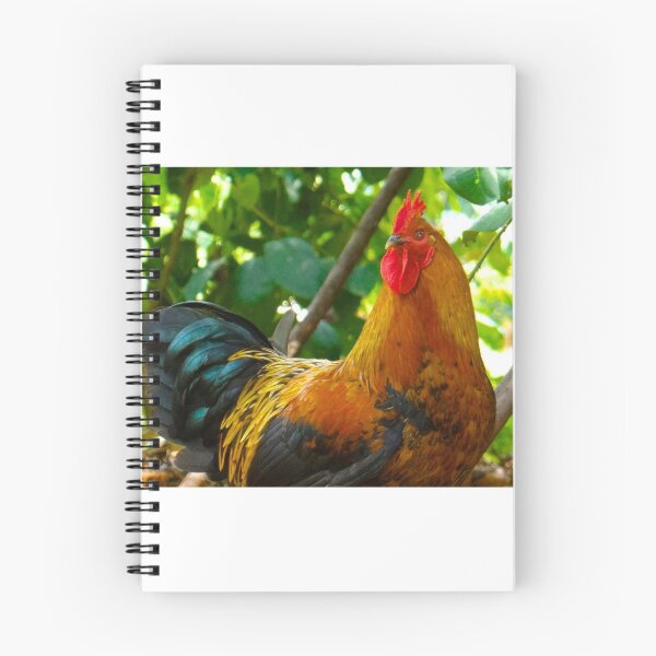 Item preview, Cockerel rooster - showing his best side designed and sold by exploramum.