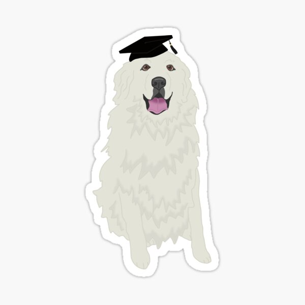 Cute Dog Graduation Stickers for Sale