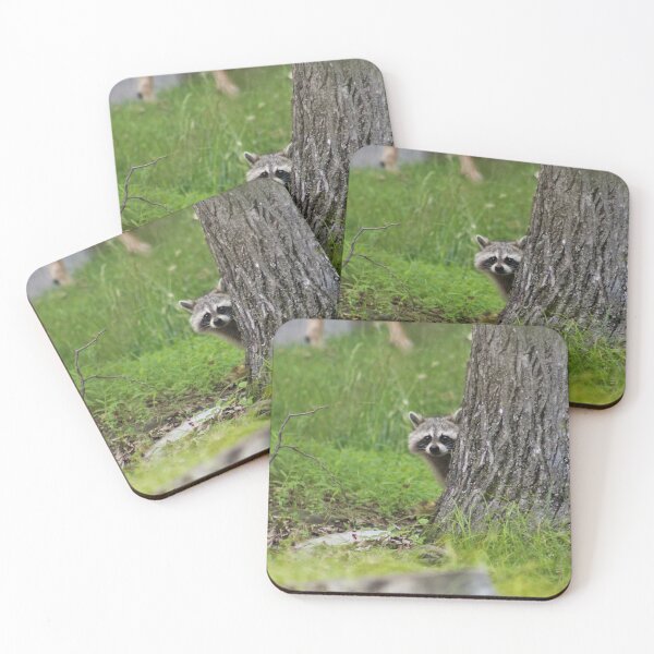 Item preview, Peek A BOO Raccoon designed and sold by FehrPhotos.