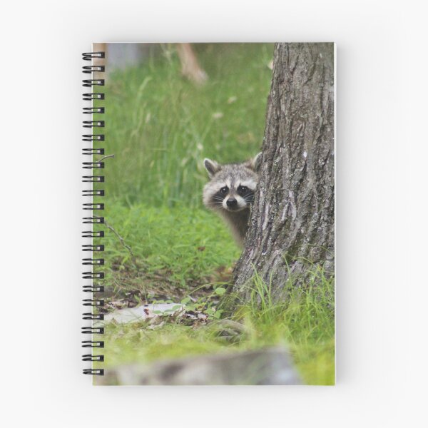 Item preview, Peek A BOO Raccoon designed and sold by FehrPhotos.
