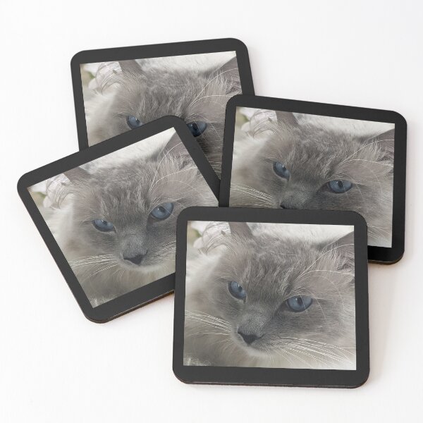 Item preview, Copy of Ragdoll cat Odin designed and sold by Fluffycat2020.
