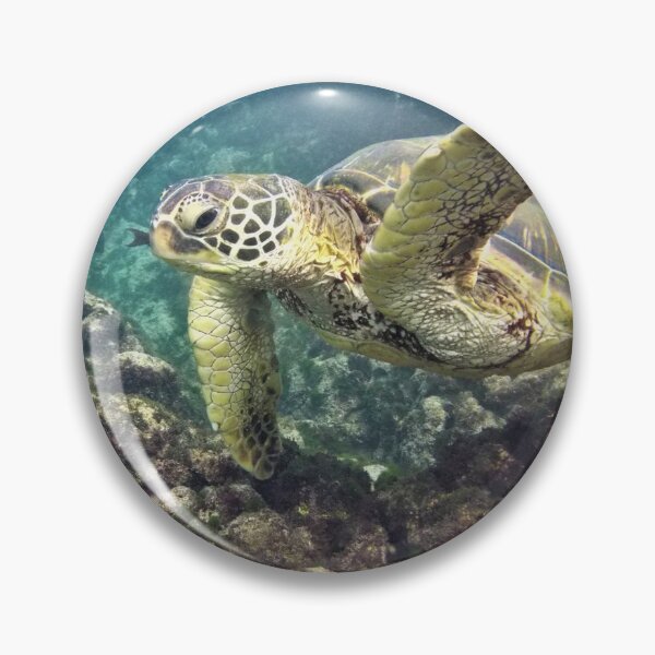 Item preview, Maui Sea Turtle Waving hello designed and sold by FehrPhotos.