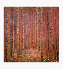 Tannenwald I by Gustav Klimt Fine Art Photographic Print
