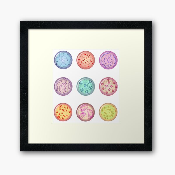Vista previa del artículo con la obra «Colección de cultivos microbiológicos, colonia de bacterias en placa de Petri», diseñado y vendido por roocky.