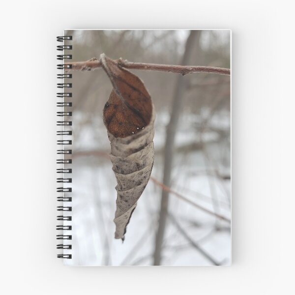 Item preview, Hoja solitaria designed and sold by AmazingAmanda42.