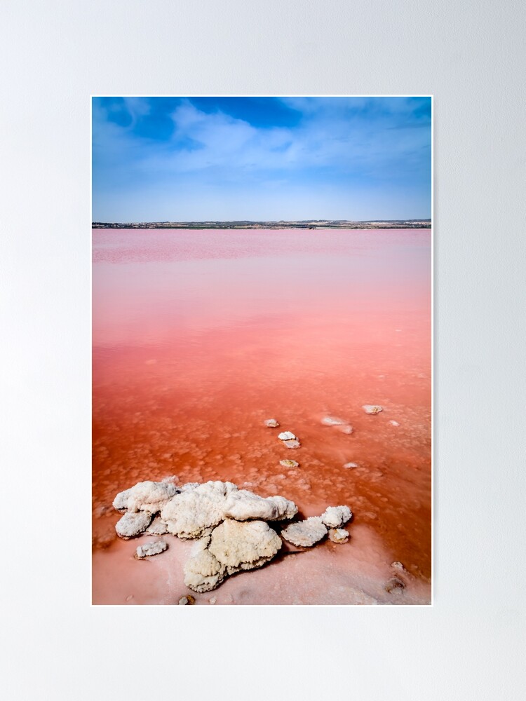 Alternate view of Pink salt lake and salt crystals at Torrevieja Poster
