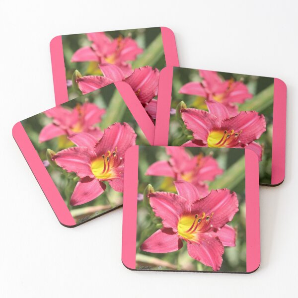 Item preview, Daylily named Pardon Me designed and sold by JMcCombie.