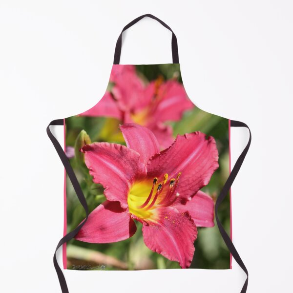 Item preview, Daylily named Pardon Me designed and sold by JMcCombie.