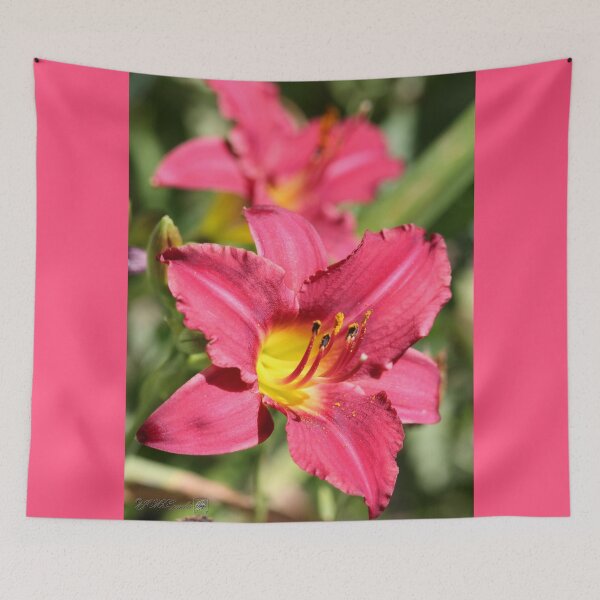 Item preview, Daylily named Pardon Me designed and sold by JMcCombie.