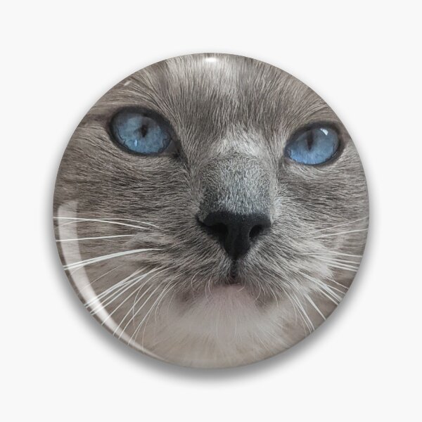 Item preview, Copy of Ragdoll cat Odin designed and sold by Fluffycat2020.