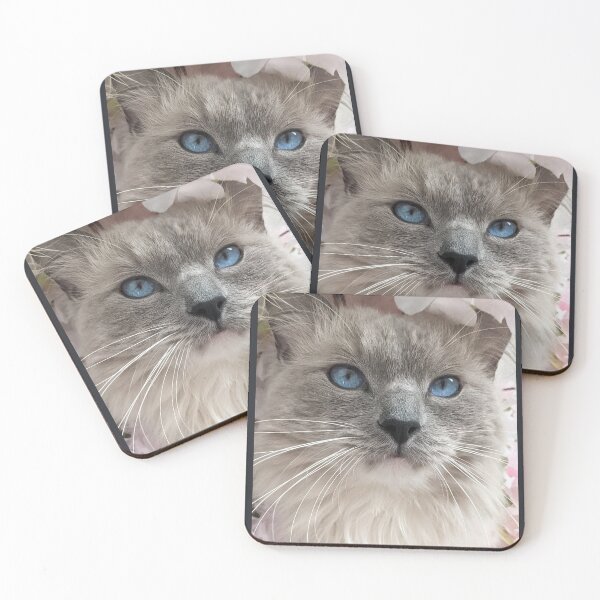 Item preview, Copy of Ragdoll cat Odin designed and sold by Fluffycat2020.