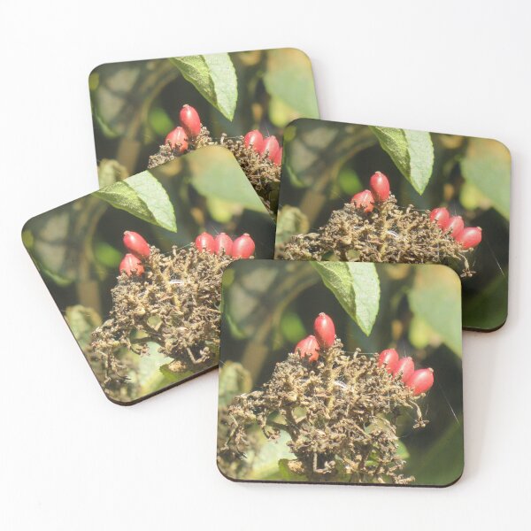 Item preview, Red berries in the tree designed and sold by greentiger1.