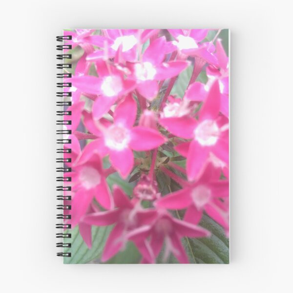 Item preview, Pink Pentas designed and sold by Genchaii.