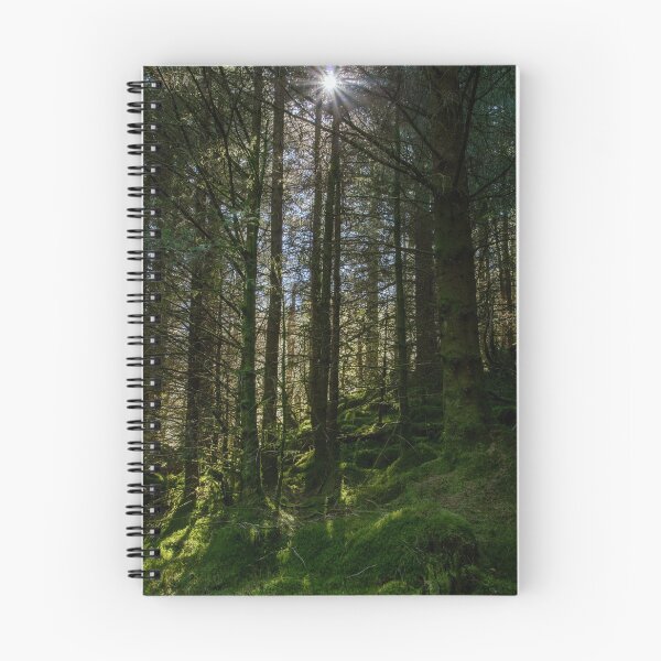 Item preview, Beddgelert Forest Pine Trees designed and sold by neonlightphoto.