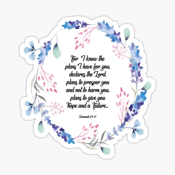 I know the plans I have for you declares the Lord, Jeremiah 29:11, scripture, Christian gift Sticker
