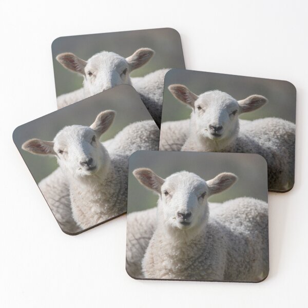 Item preview, curios little baby lamb designed and sold by JoeEJackson.