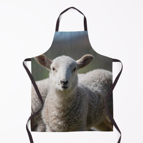 Item preview, curios little baby lamb designed and sold by JoeEJackson.