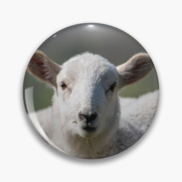 Item preview, curios little baby lamb designed and sold by JoeEJackson.