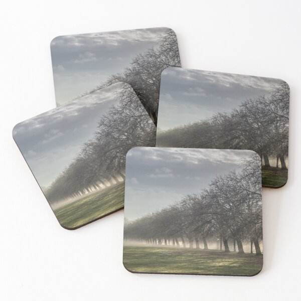 Item preview, Misty Sefton Park designed and sold by Paul Madden.