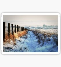 Snow Path Sticker